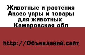 Животные и растения Аксесcуары и товары для животных. Кемеровская обл.